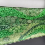 панно из мха