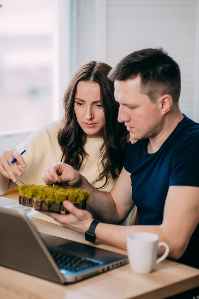 стабилизированный мох минск