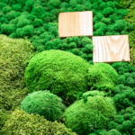 стабилизированный мох кочки