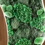 панно из мха на стену