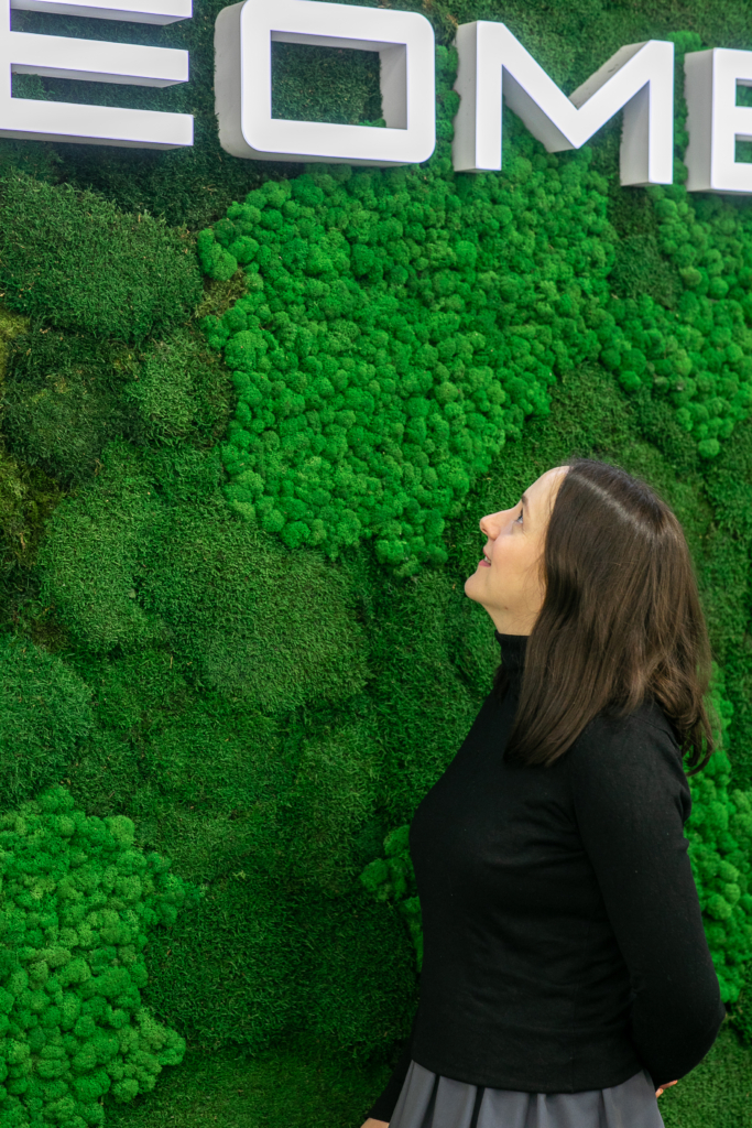 панно из мха