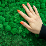 восстановление работ их стабилизированного мха