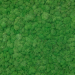 стабилизированный ягель