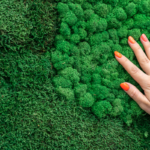 стабилизированный мох