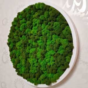 картина из мха
