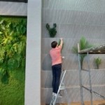 искусственные деревья купить